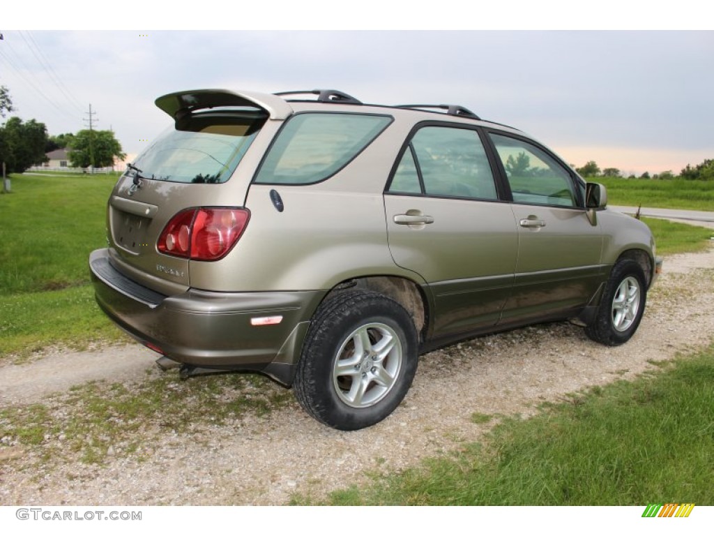 2000 RX 300 AWD - Burnished Gold Metallic / Ivory photo #9