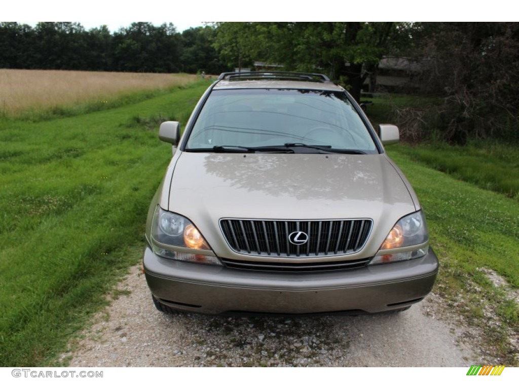 2000 RX 300 AWD - Burnished Gold Metallic / Ivory photo #10