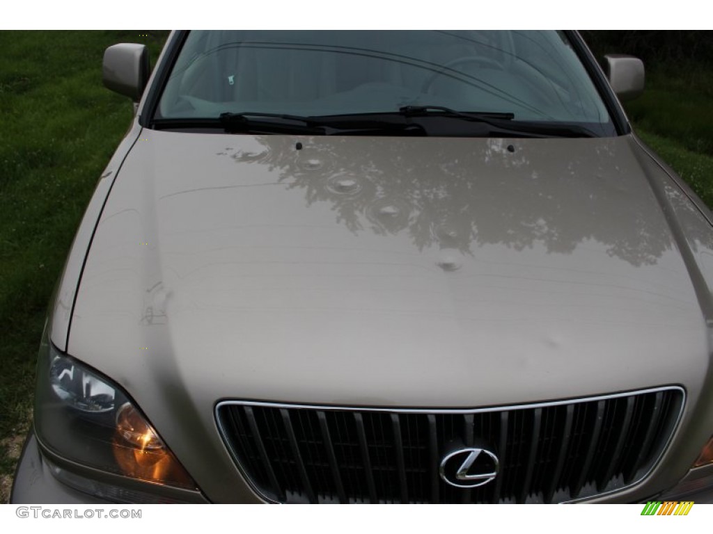 2000 RX 300 AWD - Burnished Gold Metallic / Ivory photo #11