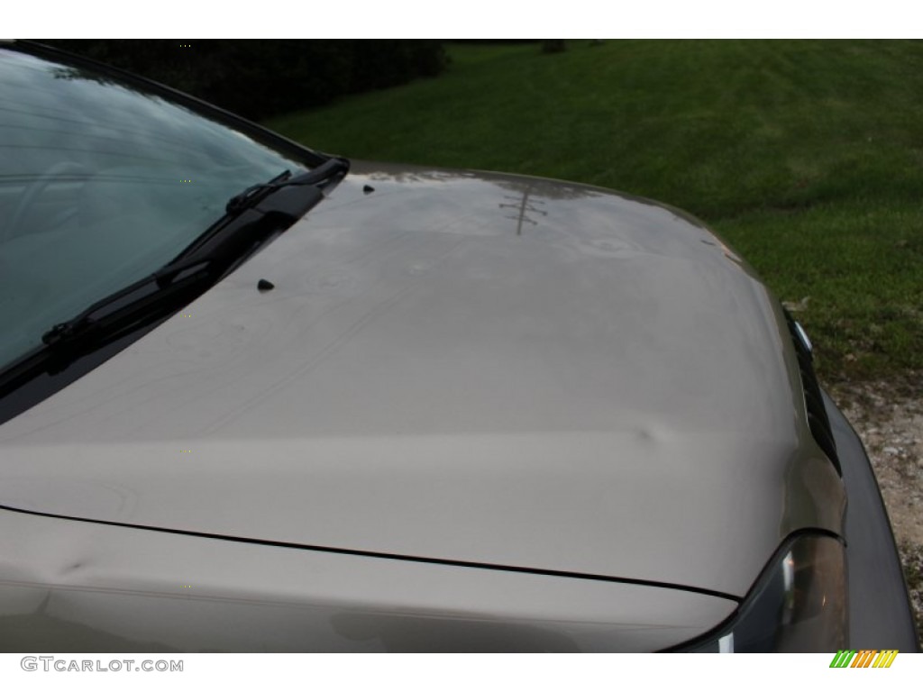 2000 RX 300 AWD - Burnished Gold Metallic / Ivory photo #12