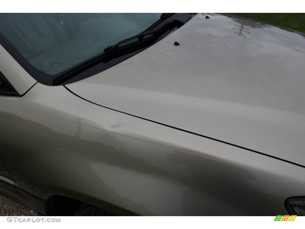 2000 RX 300 AWD - Burnished Gold Metallic / Ivory photo #13