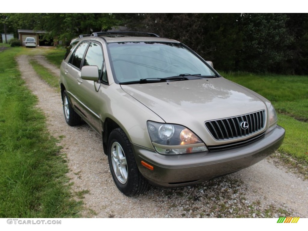 2000 RX 300 AWD - Burnished Gold Metallic / Ivory photo #34