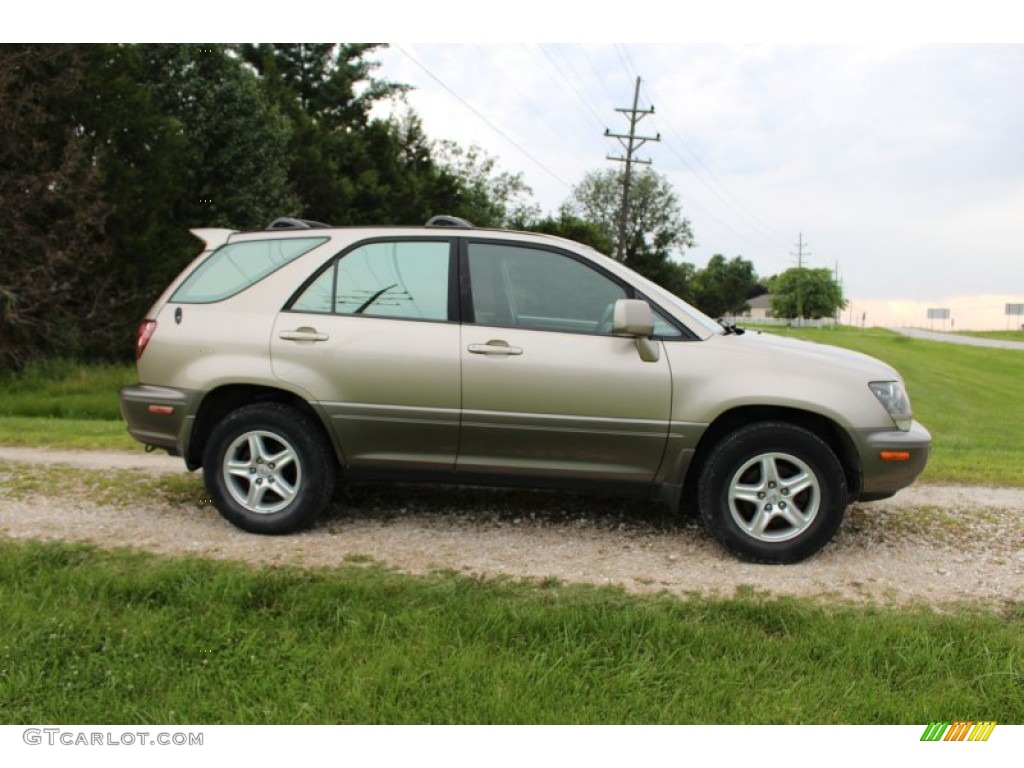 2000 RX 300 AWD - Burnished Gold Metallic / Ivory photo #35