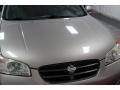 Sunlit Sand Metallic - Maxima SE Photo No. 37
