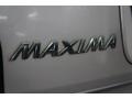 Sunlit Sand Metallic - Maxima SE Photo No. 73