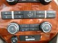 Camel/Tan Controls Photo for 2009 Ford F150 #10558280