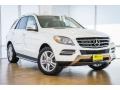 Polar White - ML 350 Photo No. 12