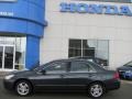 2006 Graphite Pearl Honda Accord SE Sedan  photo #3