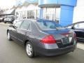 2006 Graphite Pearl Honda Accord SE Sedan  photo #4