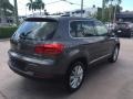 Pepper Gray Metallic - Tiguan SEL Photo No. 5