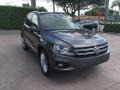 Pepper Gray Metallic - Tiguan SEL Photo No. 7