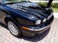 2008 Ebony Black Jaguar X-Type 3.0 Sedan  photo #17