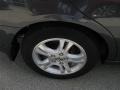 2006 Graphite Pearl Honda Accord EX-L Sedan  photo #6