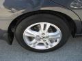 2006 Graphite Pearl Honda Accord SE Sedan  photo #7