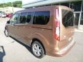 Burnished Glow 2014 Ford Transit Connect Titanium Wagon Exterior