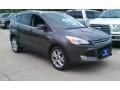 2016 Magnetic Metallic Ford Escape Titanium  photo #1