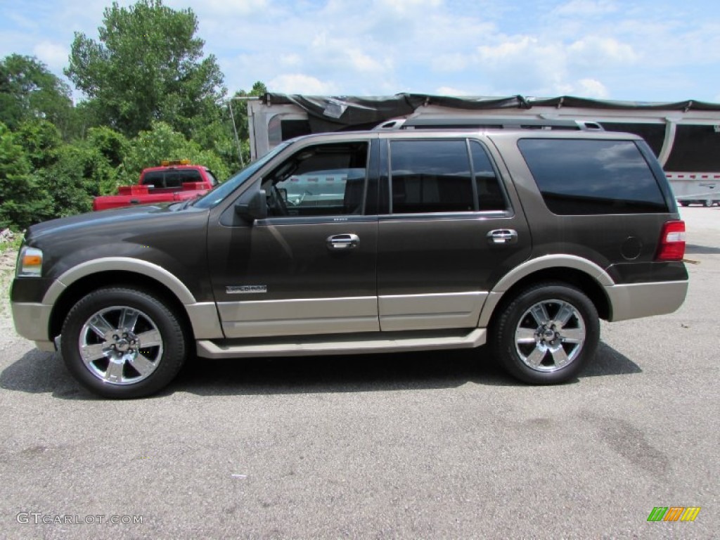 2008 Expedition Eddie Bauer 4x4 - Stone Green Metallic / Charcoal Black/Camel photo #1