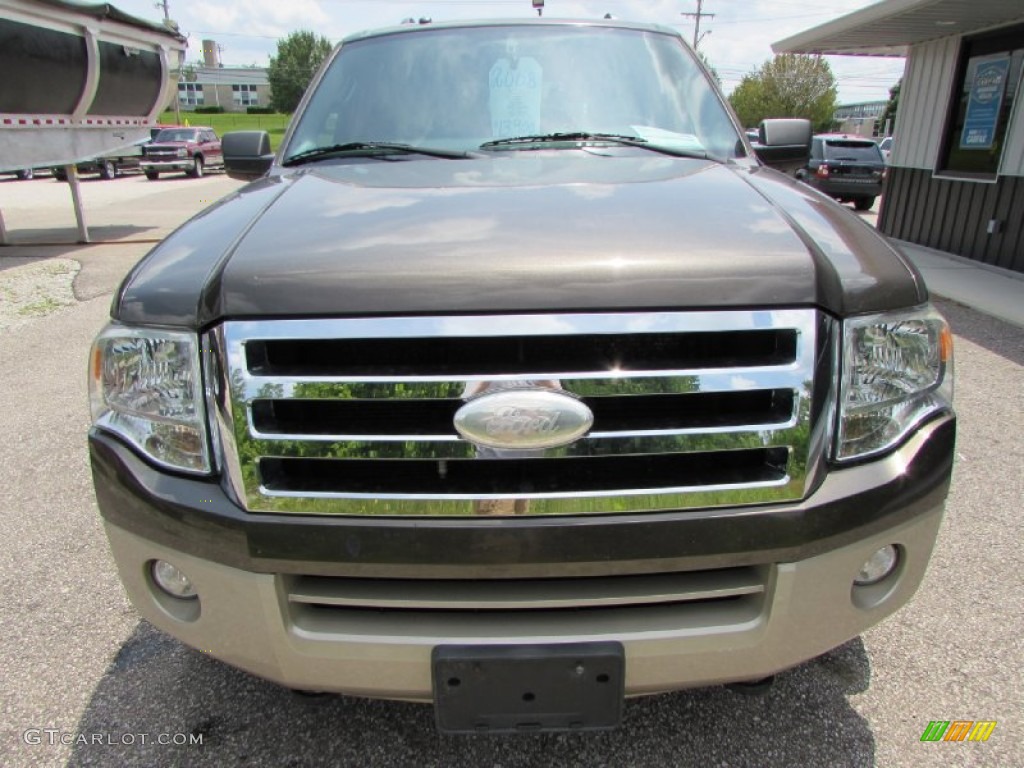 2008 Expedition Eddie Bauer 4x4 - Stone Green Metallic / Charcoal Black/Camel photo #3