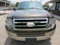 2008 Stone Green Metallic Ford Expedition Eddie Bauer 4x4  photo #3