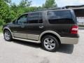 2008 Stone Green Metallic Ford Expedition Eddie Bauer 4x4  photo #5