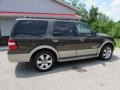 2008 Stone Green Metallic Ford Expedition Eddie Bauer 4x4  photo #6