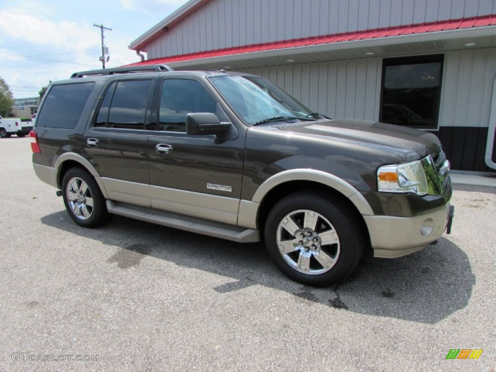 2008 Expedition Eddie Bauer 4x4 - Stone Green Metallic / Charcoal Black/Camel photo #7