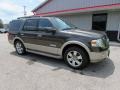 2008 Stone Green Metallic Ford Expedition Eddie Bauer 4x4  photo #7