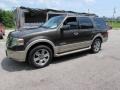 2008 Stone Green Metallic Ford Expedition Eddie Bauer 4x4  photo #8