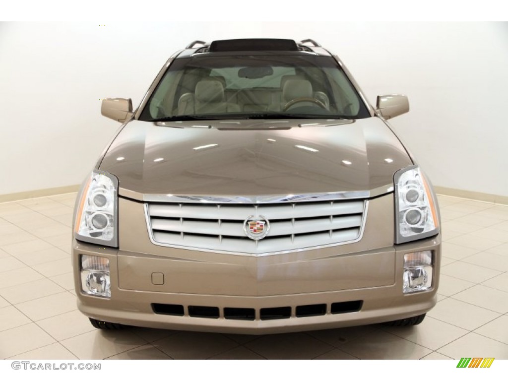 2007 SRX V6 - Radiant Bronze / Cashmere photo #2