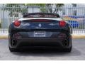 Nero (Black) - California  Photo No. 9