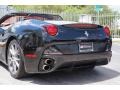 Nero (Black) - California  Photo No. 14