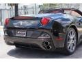 Nero (Black) - California  Photo No. 18
