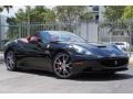 Nero (Black) - California  Photo No. 53