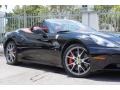 Nero (Black) - California  Photo No. 57