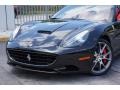 Nero (Black) - California  Photo No. 65