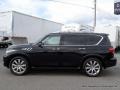 Dark Currant - QX 56 Photo No. 2