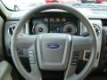 2009 Blue Flame Metallic Ford F150 XLT SuperCrew 4x4  photo #22