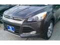 2016 Magnetic Metallic Ford Escape Titanium  photo #7