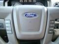 2009 Blue Flame Metallic Ford F150 XLT SuperCrew 4x4  photo #29