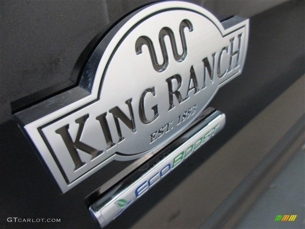 2015 F150 King Ranch SuperCrew 4x4 - Tuxedo Black Metallic / King Ranch Java/Mesa photo #5