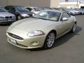 Winter Gold Metallic - XK XK8 Convertible Photo No. 1