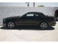 2014 Black Ford Mustang V6 Premium Convertible  photo #13