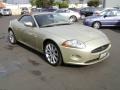 Winter Gold Metallic - XK XK8 Convertible Photo No. 2