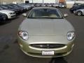 Winter Gold Metallic - XK XK8 Convertible Photo No. 6