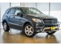 Steel Grey Metallic - ML 350 Photo No. 12