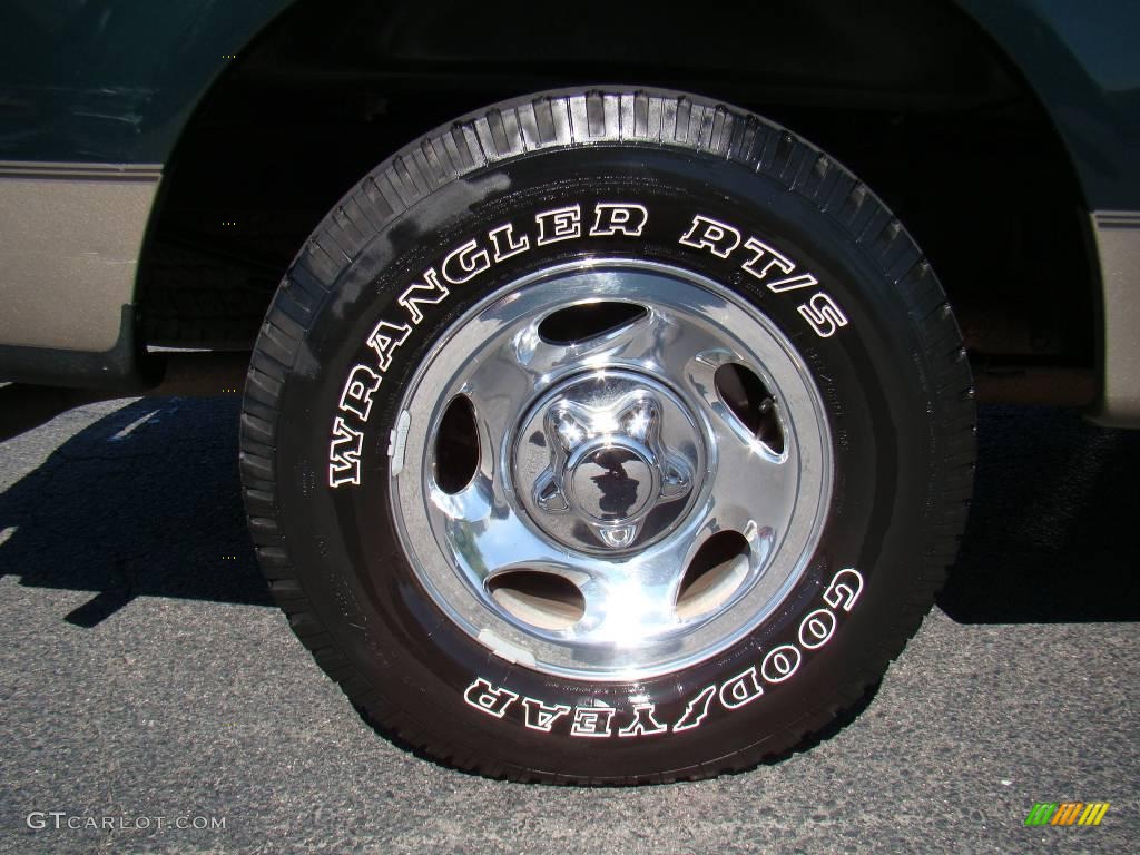 2002 F150 XLT SuperCab - Dark Highland Green Metallic / Medium Parchment photo #13