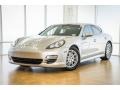 Platinum Silver Metallic - Panamera V6 Photo No. 13