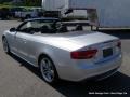 Ice Silver Metallic - S5 3.0 TFSI quattro Cabriolet Photo No. 3