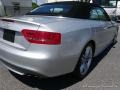 2010 Ice Silver Metallic Audi S5 3.0 TFSI quattro Cabriolet  photo #35