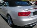 2010 Ice Silver Metallic Audi S5 3.0 TFSI quattro Cabriolet  photo #36